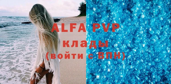 прущие грибы Белокуриха