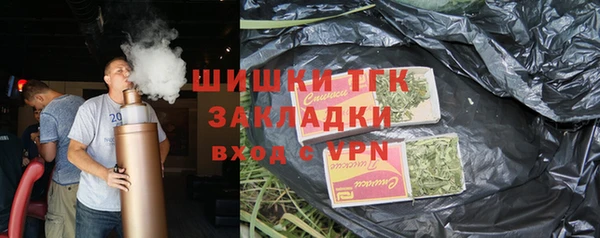 сатива Верея