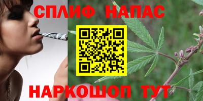 не бодяженный Бердск