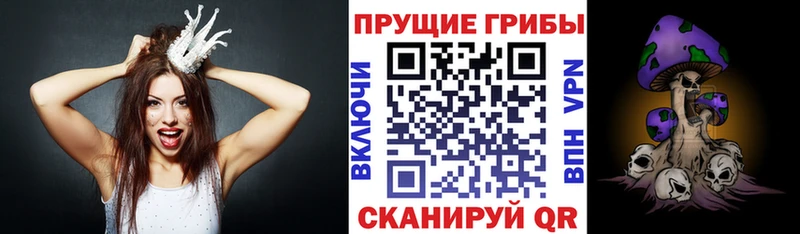 купить наркотики сайты Горно-Алтайск Галлюциногенные грибы ЛСД