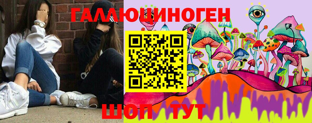 Псилоцибиновые грибы GOLDEN TEACHER Горно-Алтайск